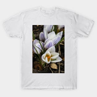 Spring Crocus 11 T-Shirt